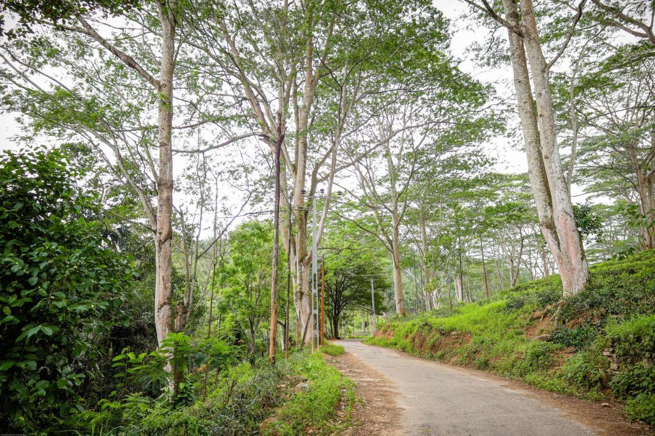 Tranquilisle Hotel Kandy Bagian luar foto