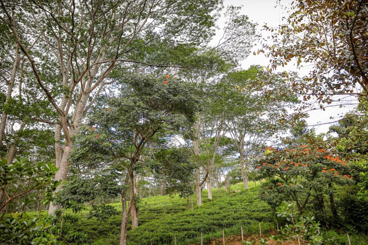 Tranquilisle Hotel Kandy Bagian luar foto