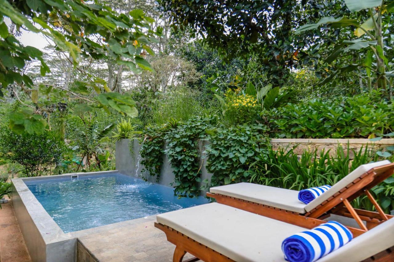 Tranquilisle Hotel Kandy Bagian luar foto